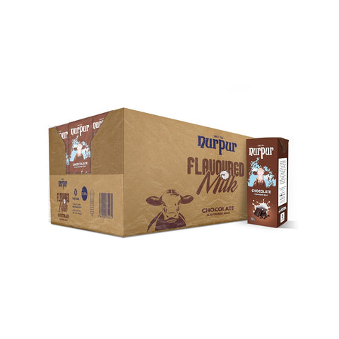 Nurpur Flavored Chocolate Milk 180ML x12